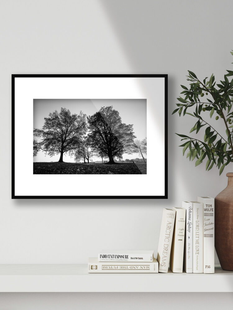 zuidwal Den Bosch passe partout