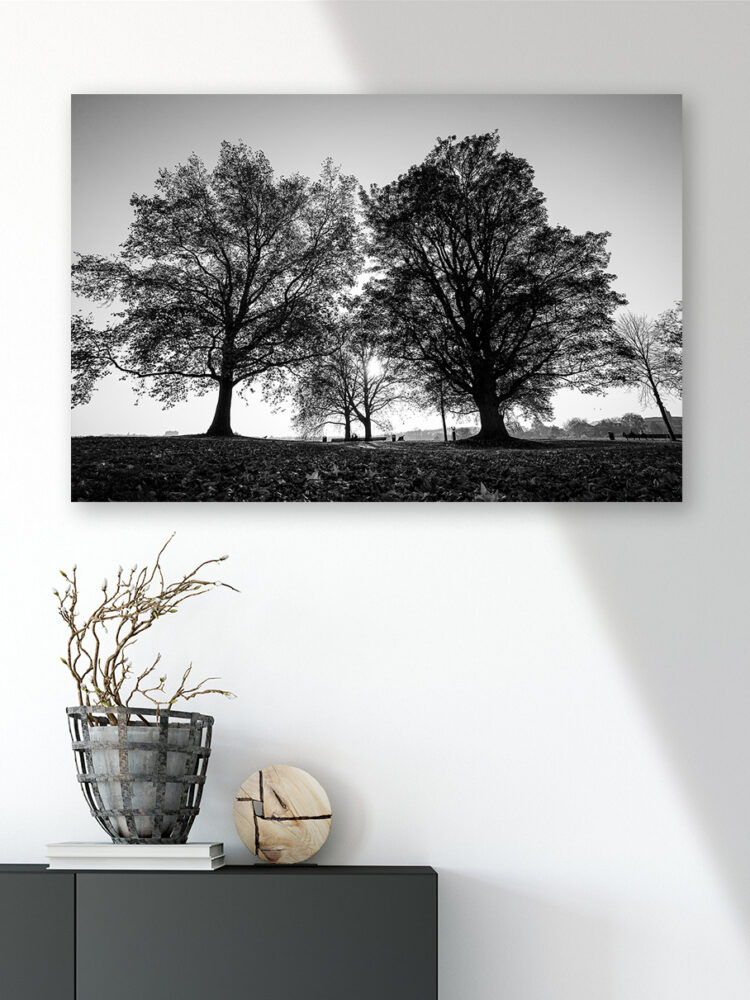 foto zuidwal Den Bosch 60x90