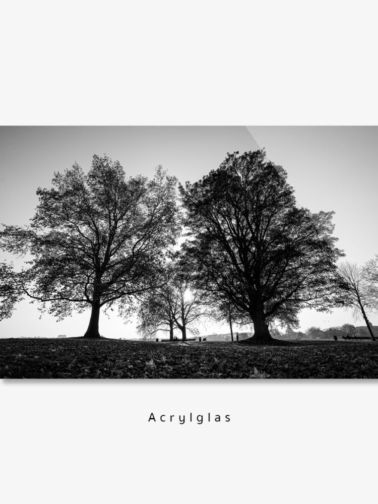 foto zuidwal Den Bosch 60x90 acrylglas